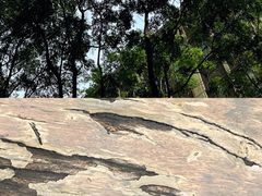 -VESH COFFEE(定西路店)