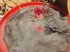 -草原塞蛮羊火锅城(港湾店)