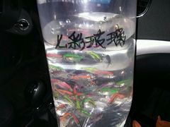 -中环花鸟鱼虫市场