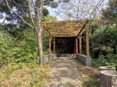 -冶山国家矿山公园