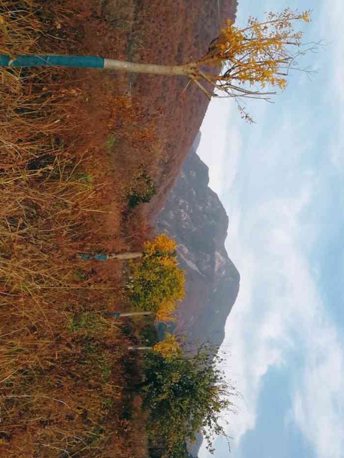 劲松园风景区-"「环秀湖」推荐理由:清明过后,梨花飘香.