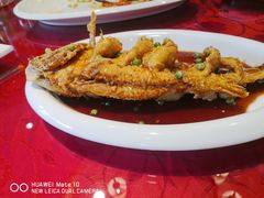 -海岛渔村大酒店(云霄路店)