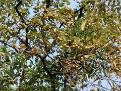 -杭州半山国家森林公园