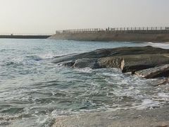 -渡海小渔村.老辈日照菜