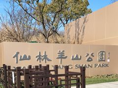 -羊山湖公园
