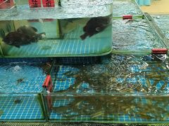-南湾海鲜餐厅(南澳海鲜街店)