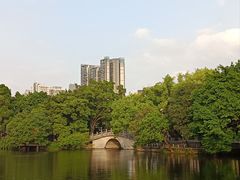 -荔湾湖公园
