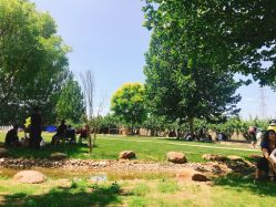 -萌宠亲子动物乐园(槐房万达店)