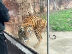 -杭州野生动物世界