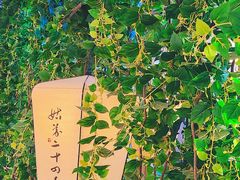 -姑苏二十四集(iD PARK 歌林公园店)