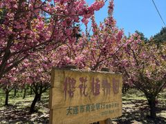-金龙寺国家森林公园
