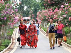 -武汉紫薇都市田园
