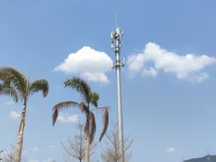 -光明小镇欢乐田园