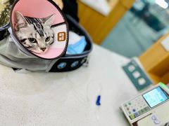 -联合动物医院(光谷诊疗中心)