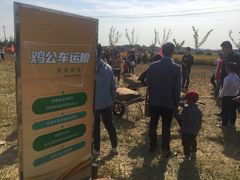 -梁鸿国家湿地公园