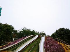 -顺峰山公园