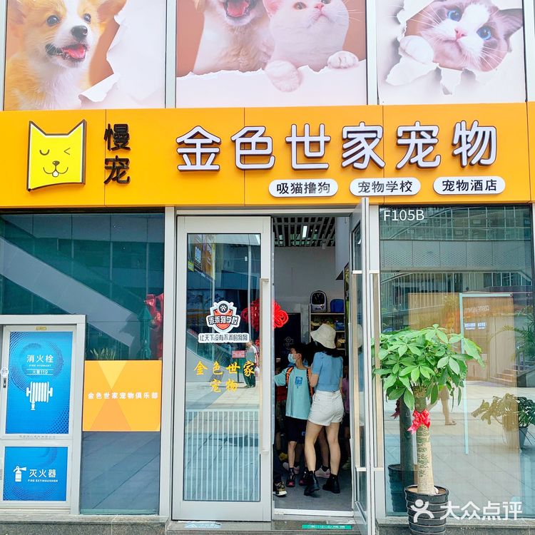 深圳超全宠物店🐱买宠物就去金色世家！