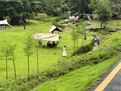-黄埔油麻山森林公园