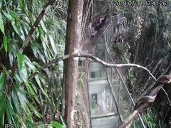 -九龙江国家森林公园