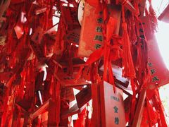 -黔灵山公园