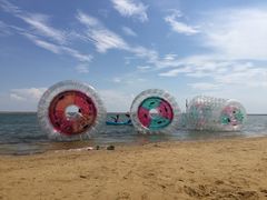 -碧海金沙