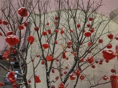 -问山MountQuest攀岩馆