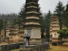 -豫丰汇河南名菜楼(武记餐饮)