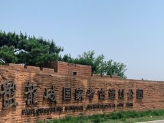 -盘龙城国家考古遗址公园