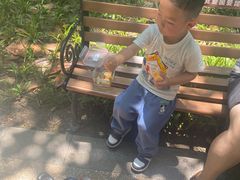 -昆山城市生态森林公园