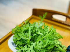 茼蒿-瑶锦居酸菜鱼(廊坊店)