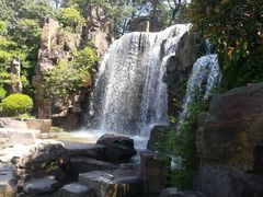 -上海鲜花港