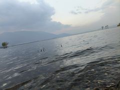 -大理洱海