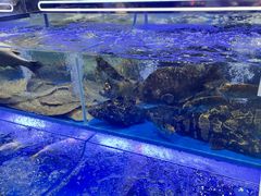 -万达广场(惠州大亚湾店)