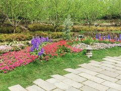 -茅山东方盐湖城景区