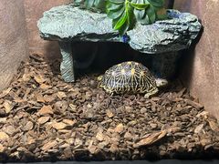 -上海海洋水族馆