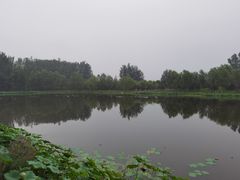 -东郊湿地公园