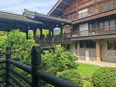 -大唐贡茶院