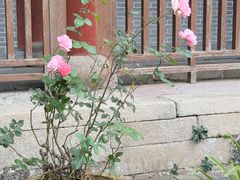 -普陀山风景名胜区-法雨禅寺