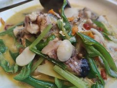-饭怕鱼(阳光100店)