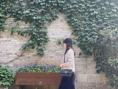 -回龙窝历史文化街区