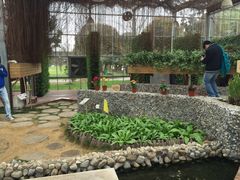 -上海多利农业发展有限公司