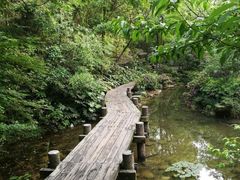 -杭州半山国家森林公园