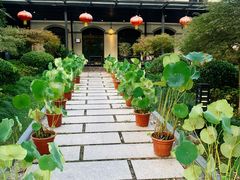 门面-荷风细雨·中国茶宴(碧云店)