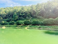 -九龙潭景区