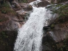 -九龙江国家森林公园