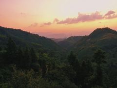 -杨家堂村