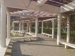-范蠡湖公园