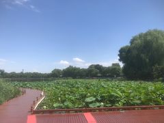 -郭守敬纪念馆