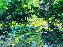 -北海道厅旧本厅舍(旧本庁舎)