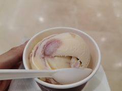 -哈根达斯(石家庄北国店)
